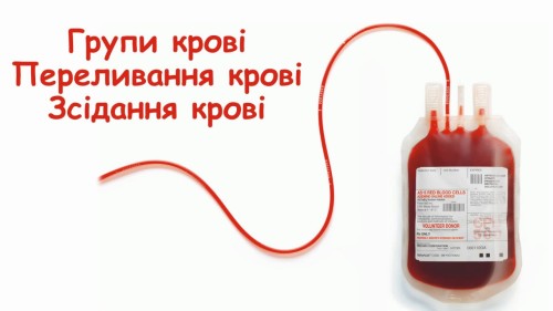 Відеотека.