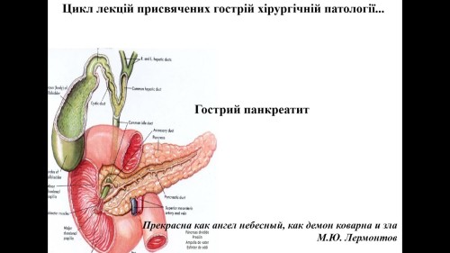 Відеотека.