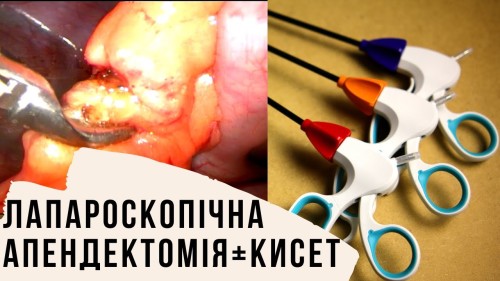 Відеотека.